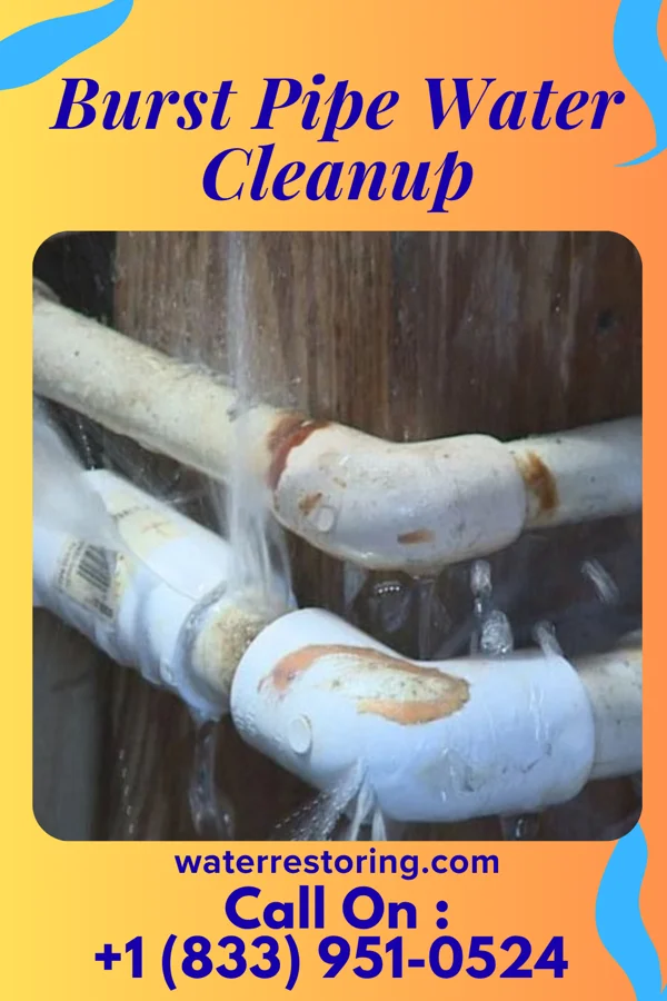 Burst Pipe Water Cleanup in Chanute, KS