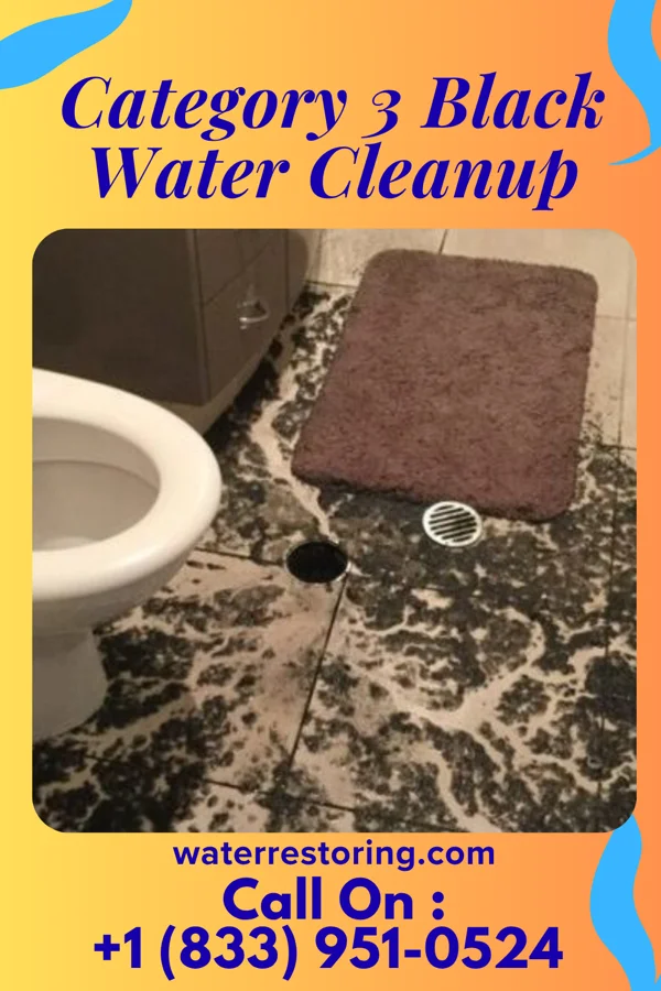 Category 3 Black Water Cleanup in Chanute, KS