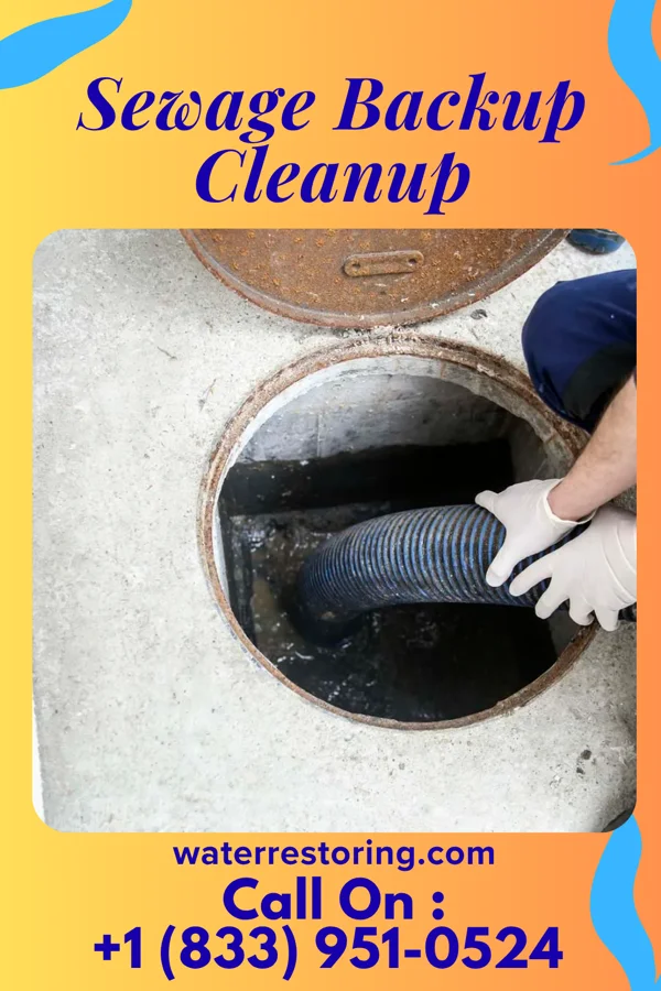 Sewage Backup Cleanup in Chanute, KS